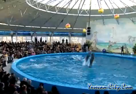 Дельфинарий в Ереване (Видео)